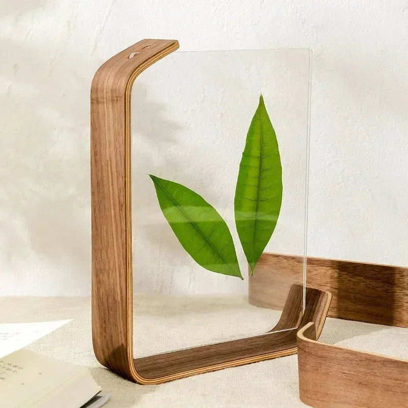 Hazel Frame Collection-Welvere