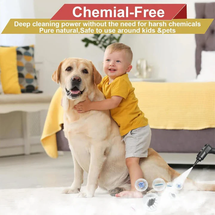 2500W High Pressure Steam Cleaner for Home and Car - Chemical-Free, view 4