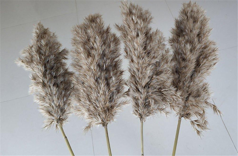 Natural Dried Pampas Grass Bouquet for Home Decoration - 55-60 cm, Brown-Beige, view 11