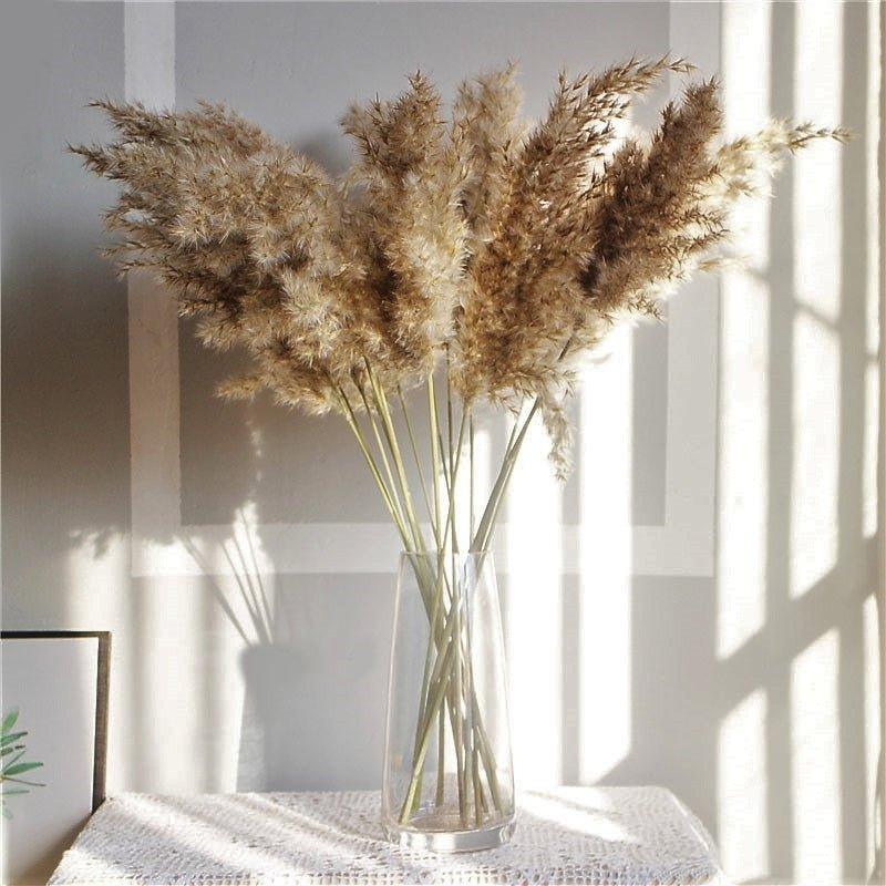 Natural Dried Pampas Grass Bouquet for Home Decoration - 55-60 cm, Brown-Beige, view 3
