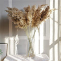 Natural Dried Pampas Grass Bouquet for Home Decoration - 55-60 cm, Brown-Beige, view 3