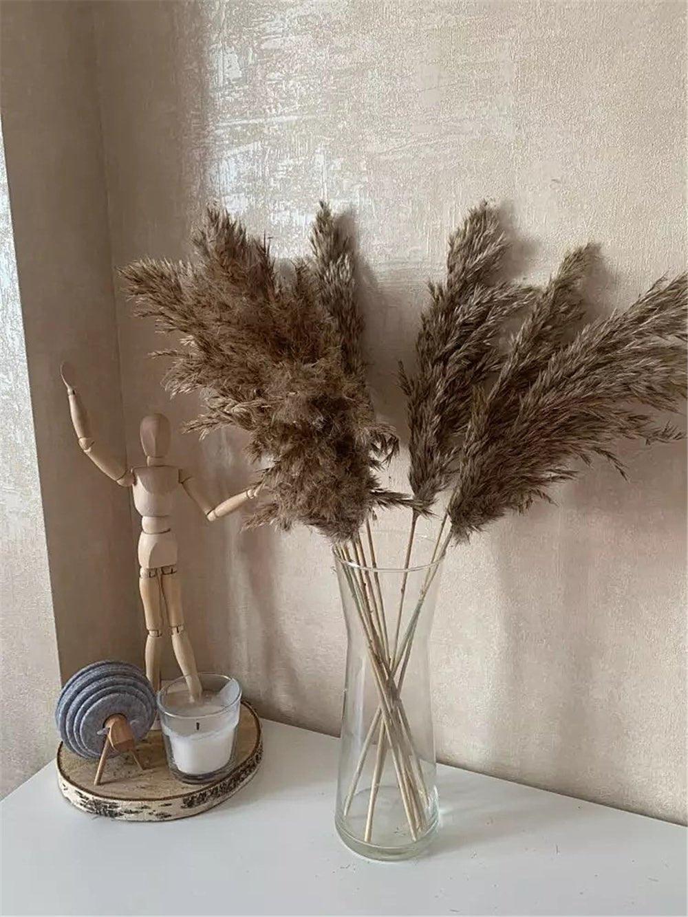 Natural Dried Pampas Grass Bouquet for Home Decoration - 55-60 cm, Brown-Beige, view 4