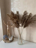 Natural Dried Pampas Grass Bouquet for Home Decoration - 55-60 cm, Brown-Beige, view 4