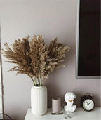 Natural Dried Pampas Grass Bouquet for Home Decoration - 55-60 cm, Brown-Beige, view 5