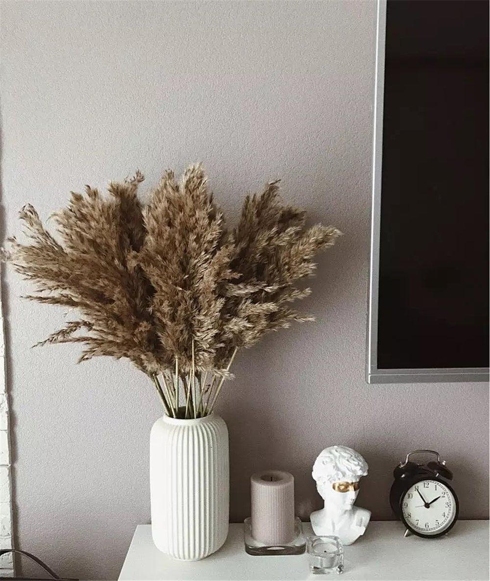 Natural Dried Pampas Grass Bouquet for Home Decoration - 55-60 cm, Brown-Beige, view 5