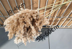 Natural Dried Pampas Grass Bouquet for Home Decoration - 55-60 cm, Brown-Beige, view 7