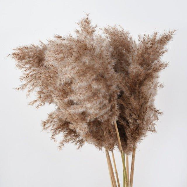 Natural Dried Pampas Grass Bouquet for Home Decoration - 55-60 cm, Brown-Beige, view 8