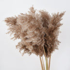 Natural Dried Pampas Grass Bouquet for Home Decoration - 55-60 cm, Brown-Beige, view 8