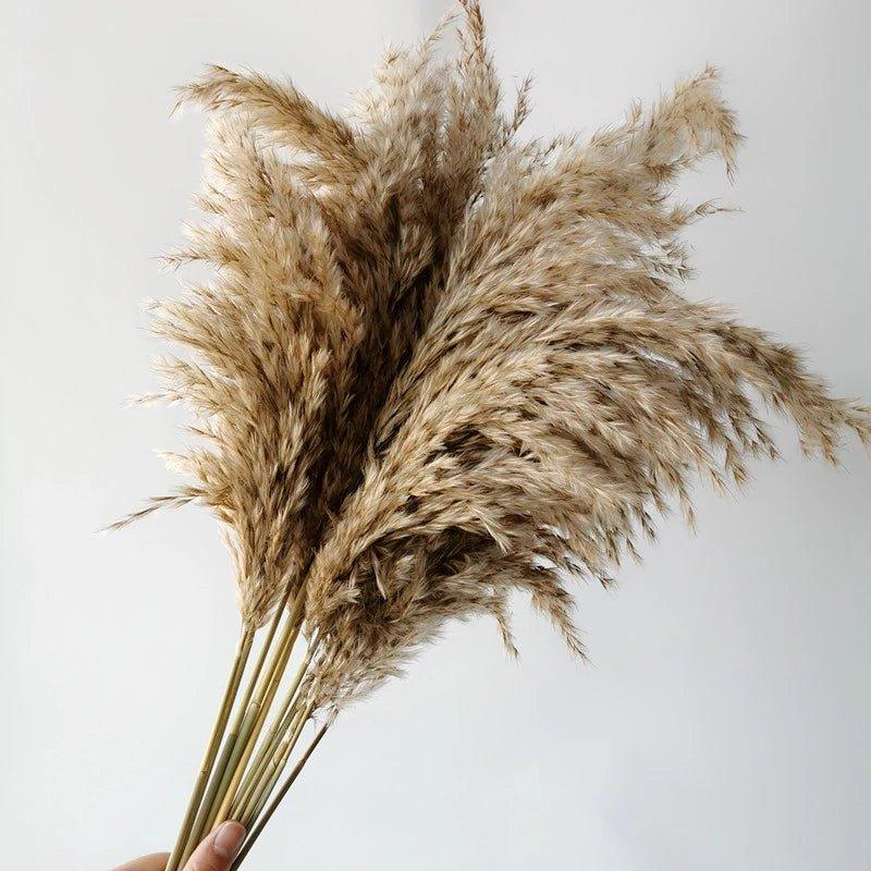 Natural Dried Pampas Grass Bouquet for Home Decoration - 55-60 cm, Brown-Beige, view 9