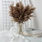 Natural Dried Pampas Grass Bouquet for Home Decoration - 55-60 cm, Brown-Beige