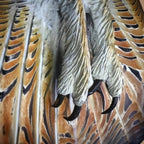 Wooden Owl Wall Decoration for Home - Premium Quality Wood, Shellac Finish, view 8