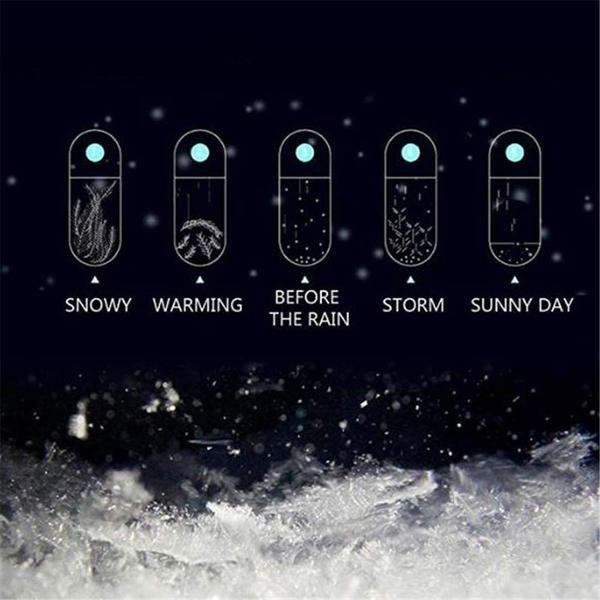 Storm Glass Weather Predicting Forecast Bottle - Crystal Desktop Barometer, view 2