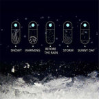 Storm Glass Weather Predicting Forecast Bottle - Crystal Desktop Barometer, view 2