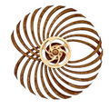 Handmade Wooden Kinetic Sculpture - Winding Spring Mechanism, 580g, view 5