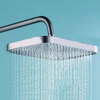 Modern Adjustable Swivel Shower Head for Bathroom - Dual Spray, Metal, view 18