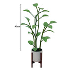 Magic LED Plant Decorative Lamp - ABS Material, 5W, for Bedroom or Lounge, view 6