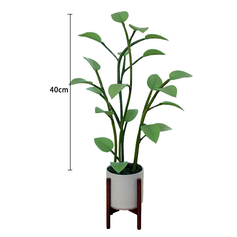 Magic LED Plant Decorative Lamp - ABS Material, 5W, for Bedroom or Lounge, view 6
