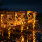 Botanical Garland Light for Home Decor - Warm White, ABS, Ip44 Waterproof, view 3
