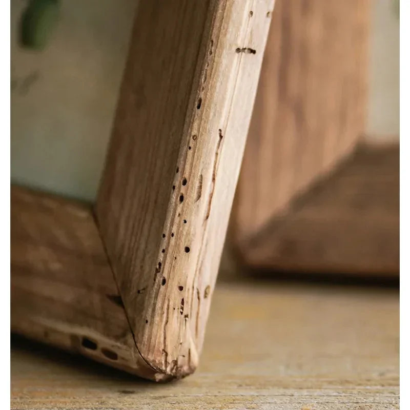 Ingrid Frame Collection-Welvere