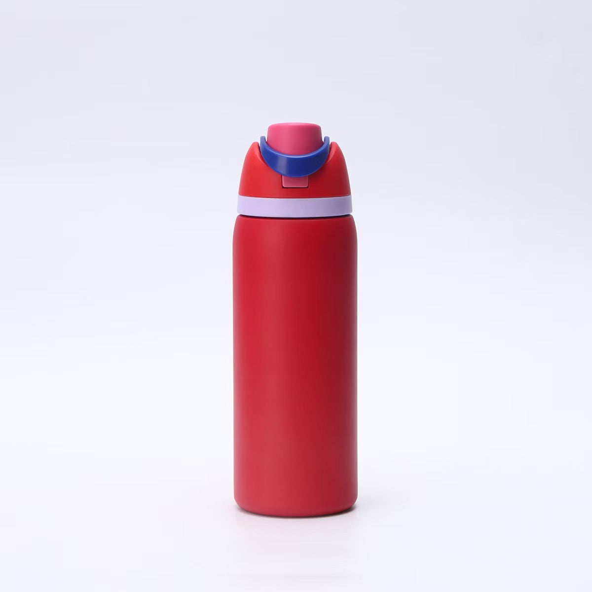 Insulated Drinking Bottle with Carrying Handle