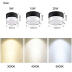 Isla LED Downlight-Welvere