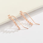 Shiny Zircon 925 Sterling Silver Earring for Women, view 3