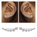 Shiny Zircon 925 Sterling Silver Earring for Women
