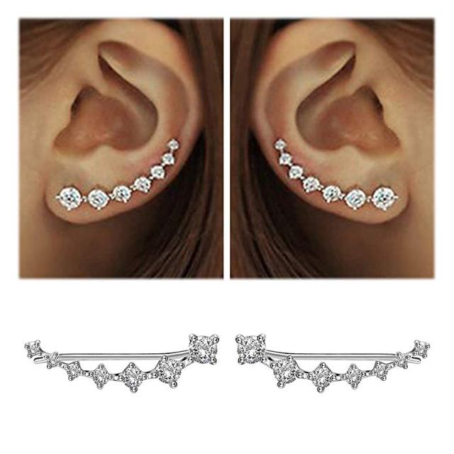 Shiny Zircon 925 Sterling Silver Earring for Women