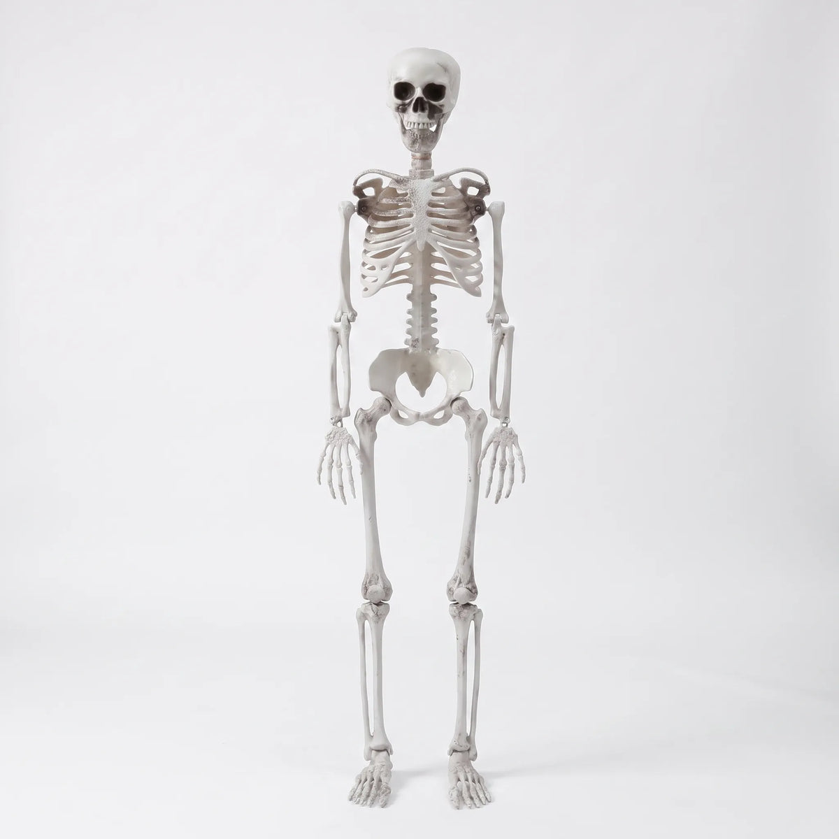Life Size Halloween Poseable Skeleton Decoration 165cm