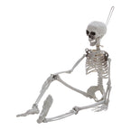 Life Size Halloween Poseable Skeleton Decoration 165cm