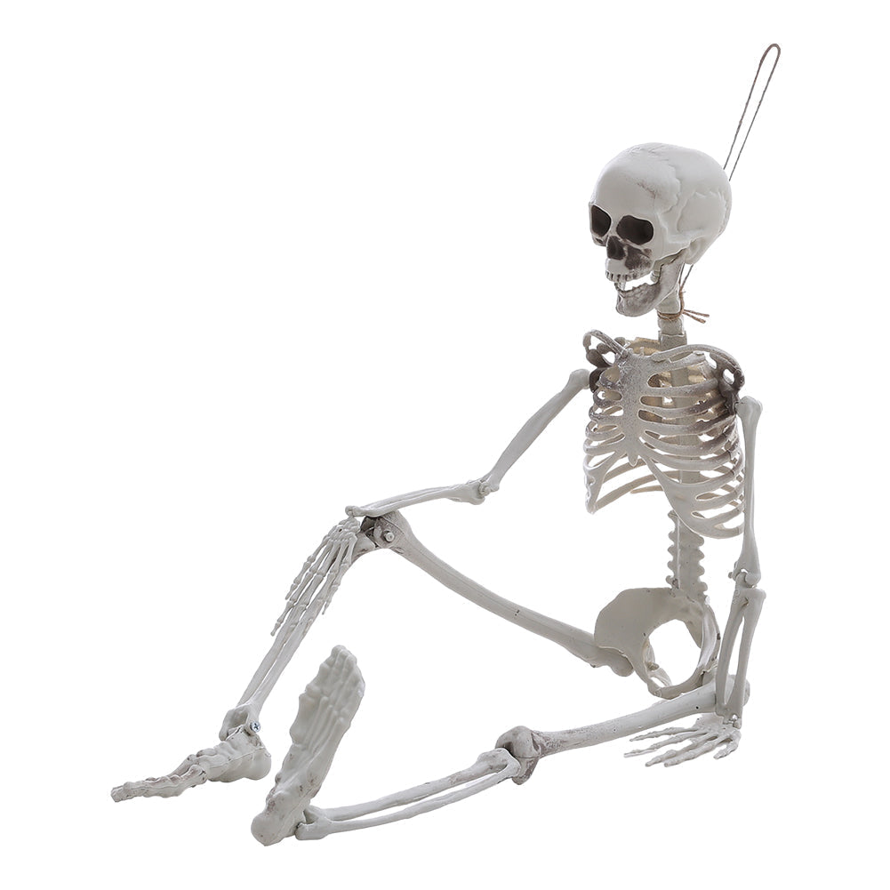 Life Size Halloween Poseable Skeleton Decoration 165cm