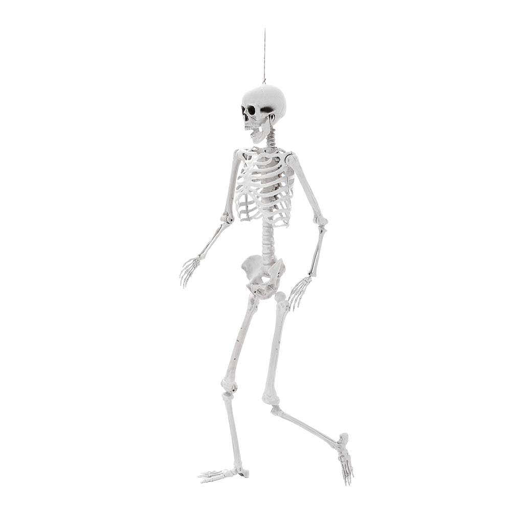 Life Size Halloween Poseable Skeleton Decoration 165cm