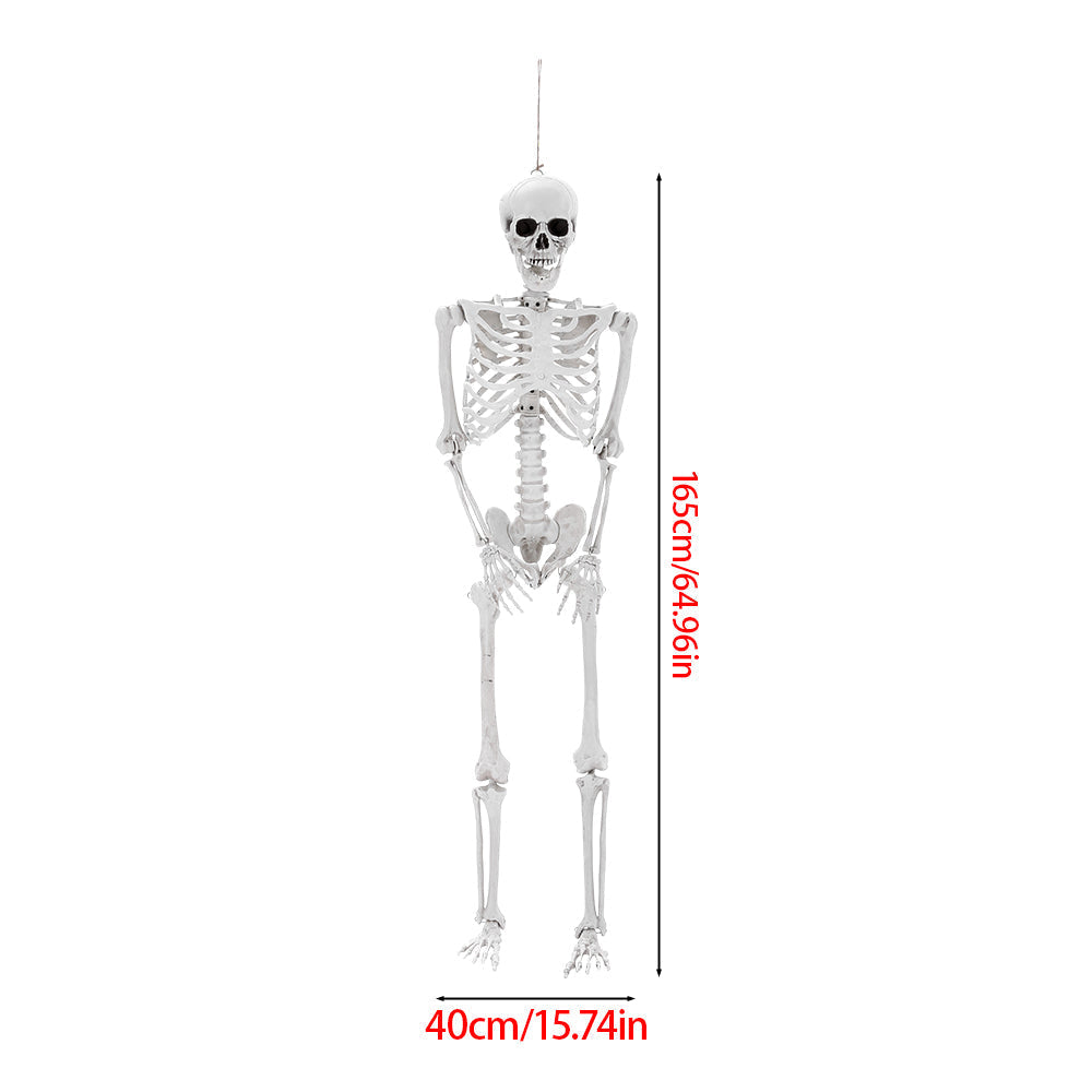 Life Size Halloween Poseable Skeleton Decoration 165cm