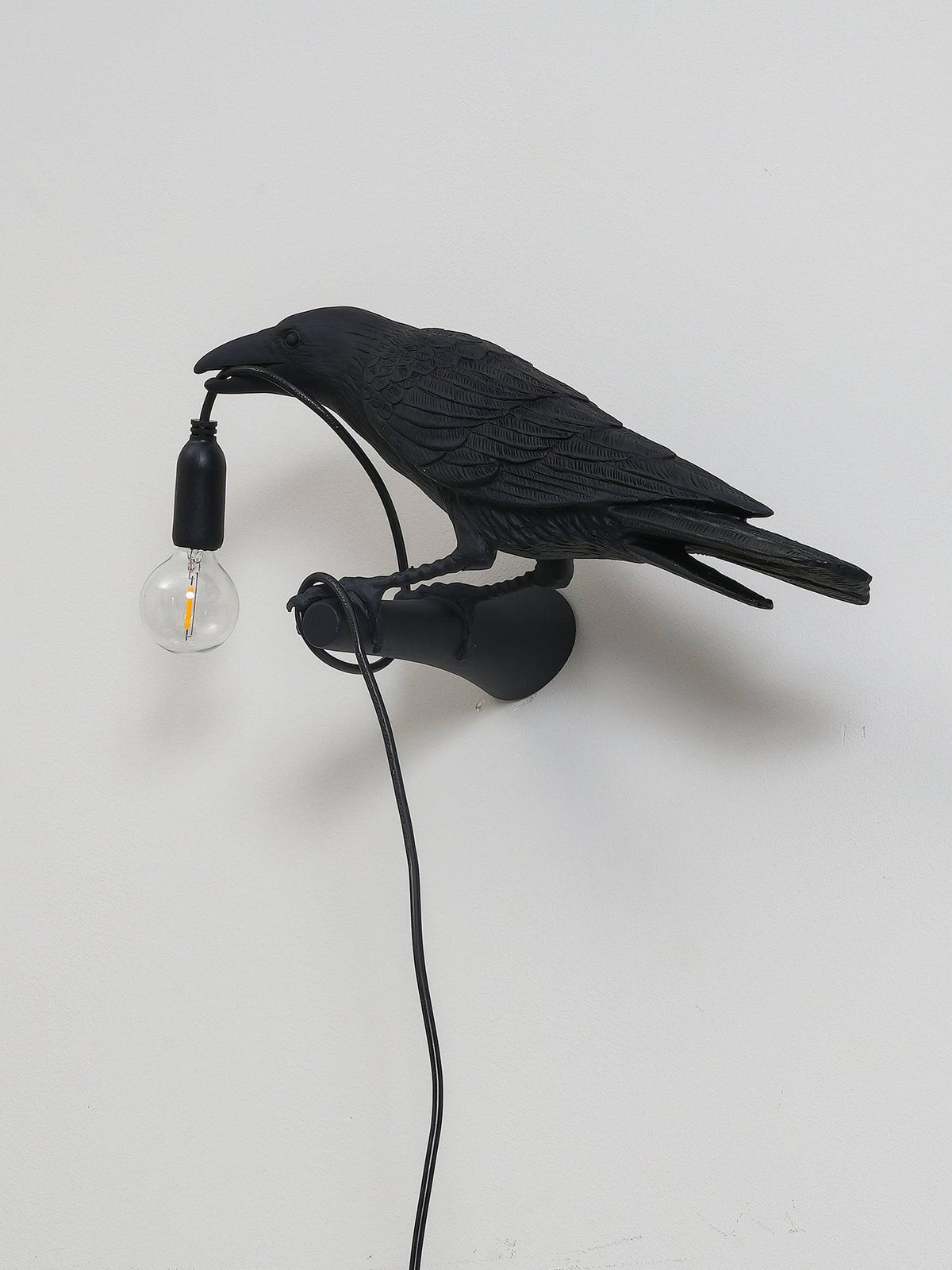 Bird Wall Light for Indoor Use - Resin, LED Compatible, 32.8cm Diameter, view 12