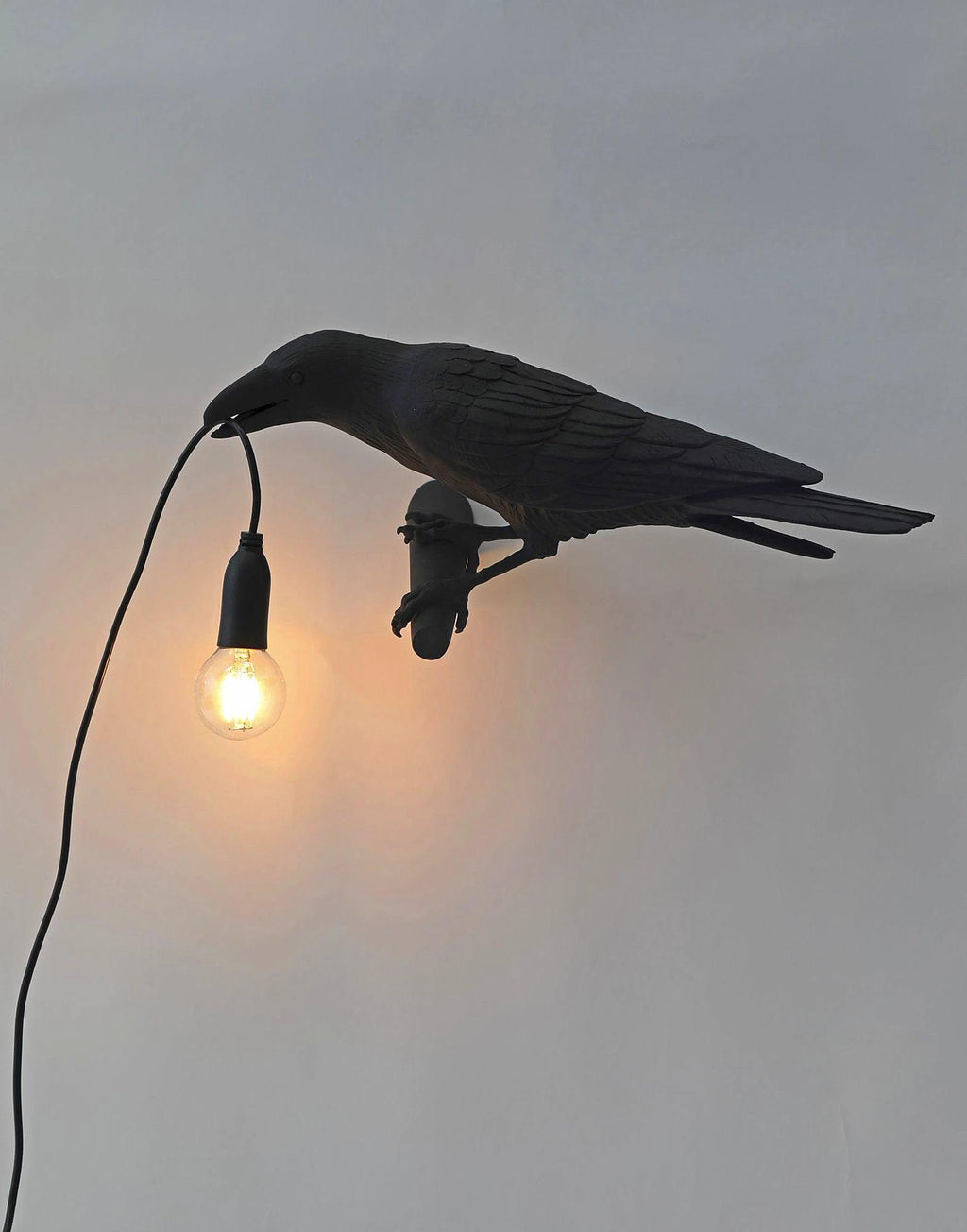 Bird Wall Light for Indoor Use - Resin, LED Compatible, 32.8cm Diameter, view 22