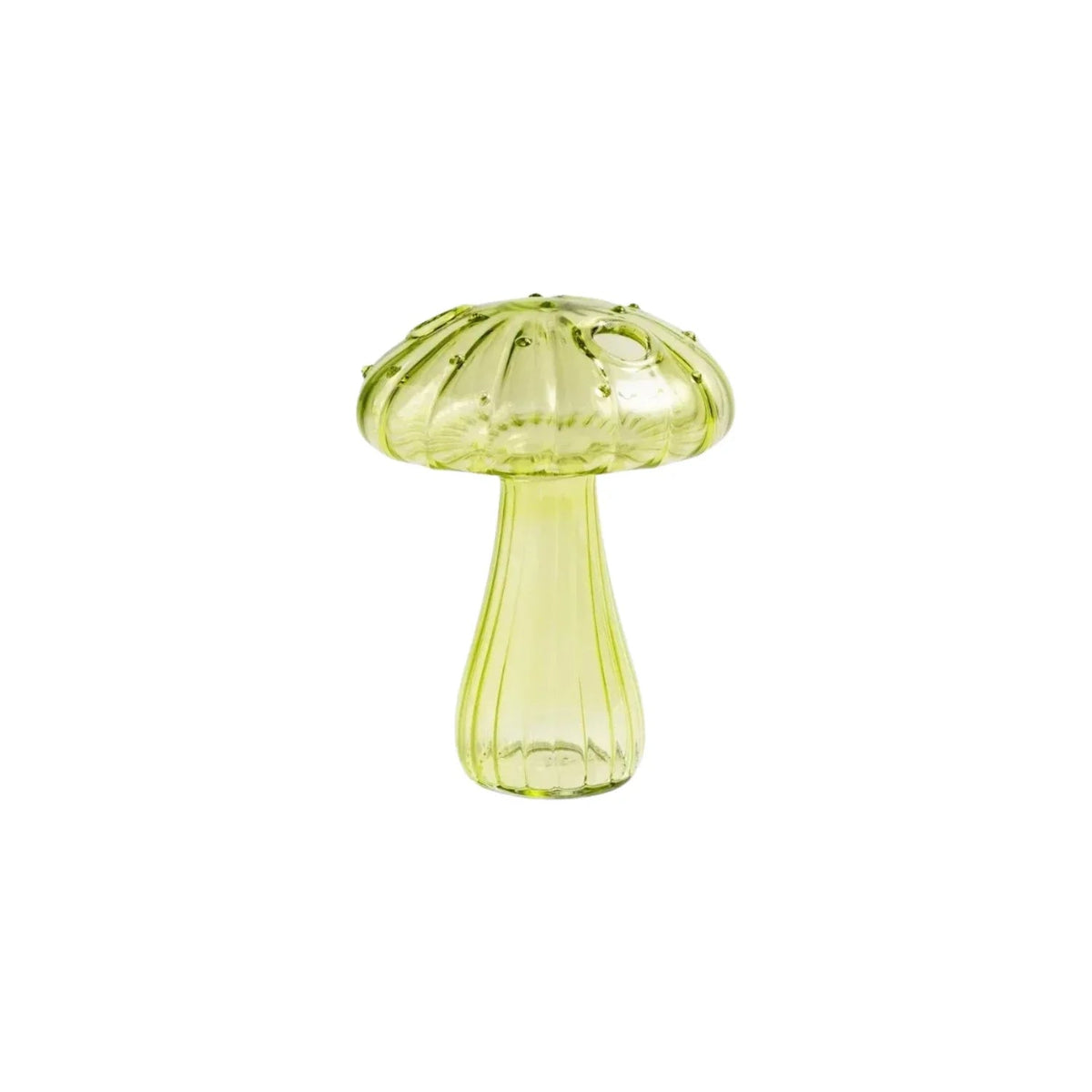 Lucio Bun Vase Collection - Set of 5-Welvere