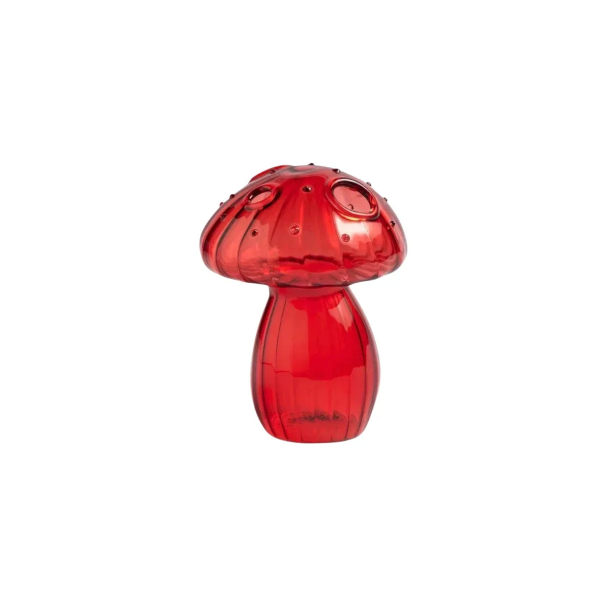 Lucio Bun Vase Collection - Set of 5-Welvere
