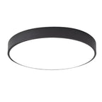 Lucio Ceiling Lamp-Welvere