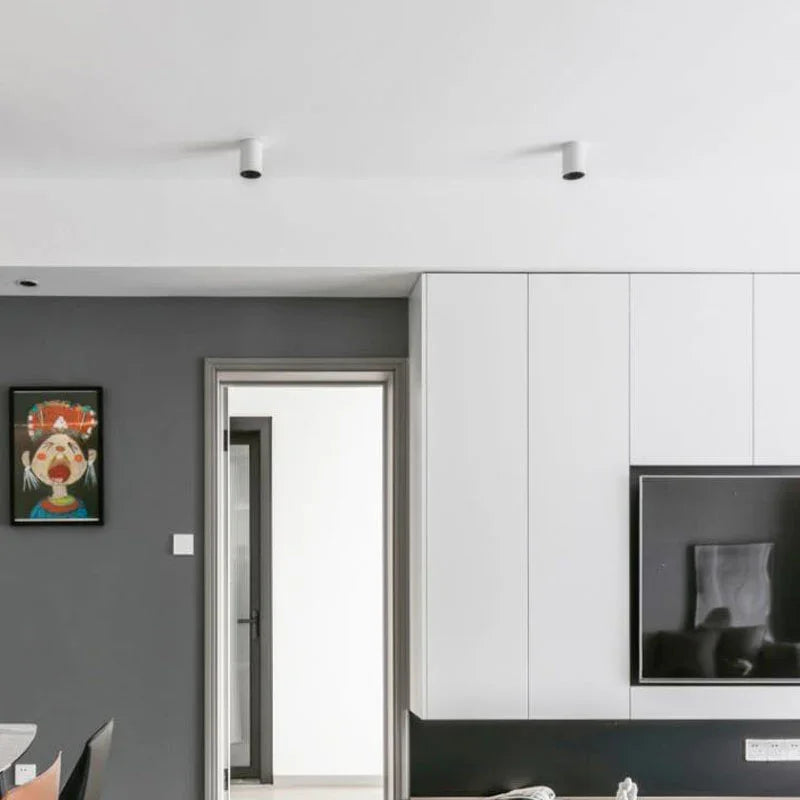 Marine Surface Mounted Downlight-Welvere