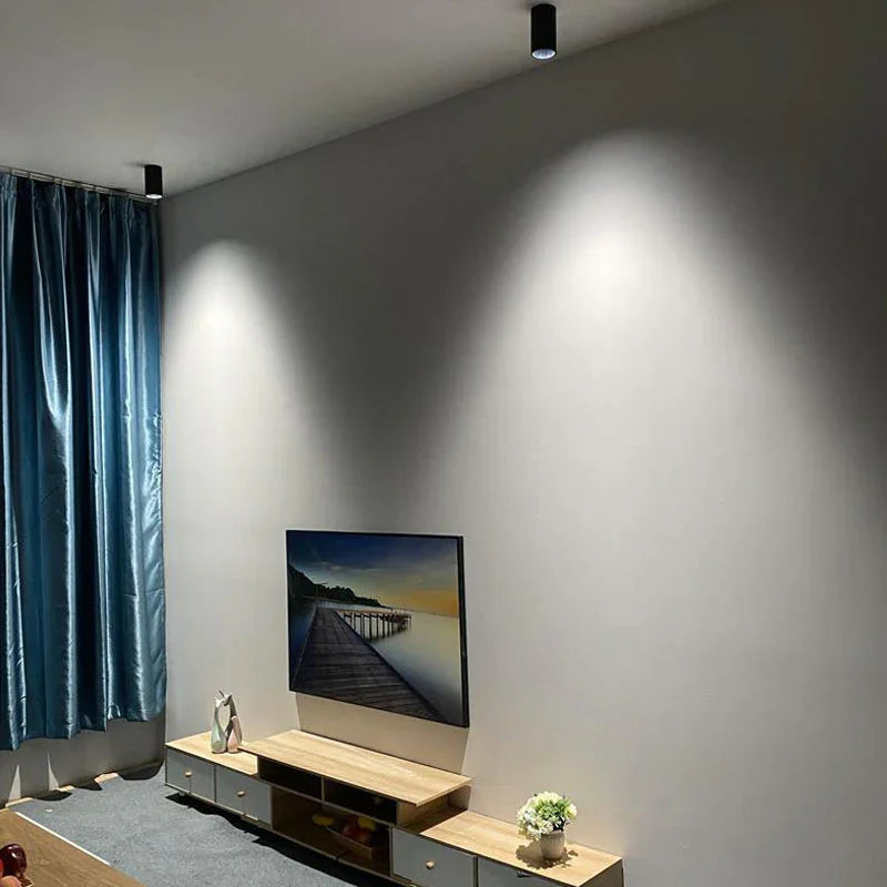 Marine Surface Mounted Downlight-Welvere