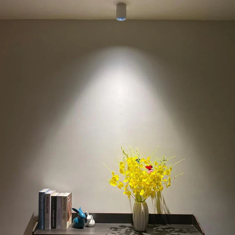 Marine Surface Mounted Downlight-Welvere