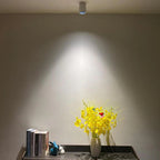 Marine Surface Mounted Downlight-Welvere