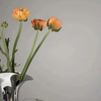 Marino Vase-Welvere