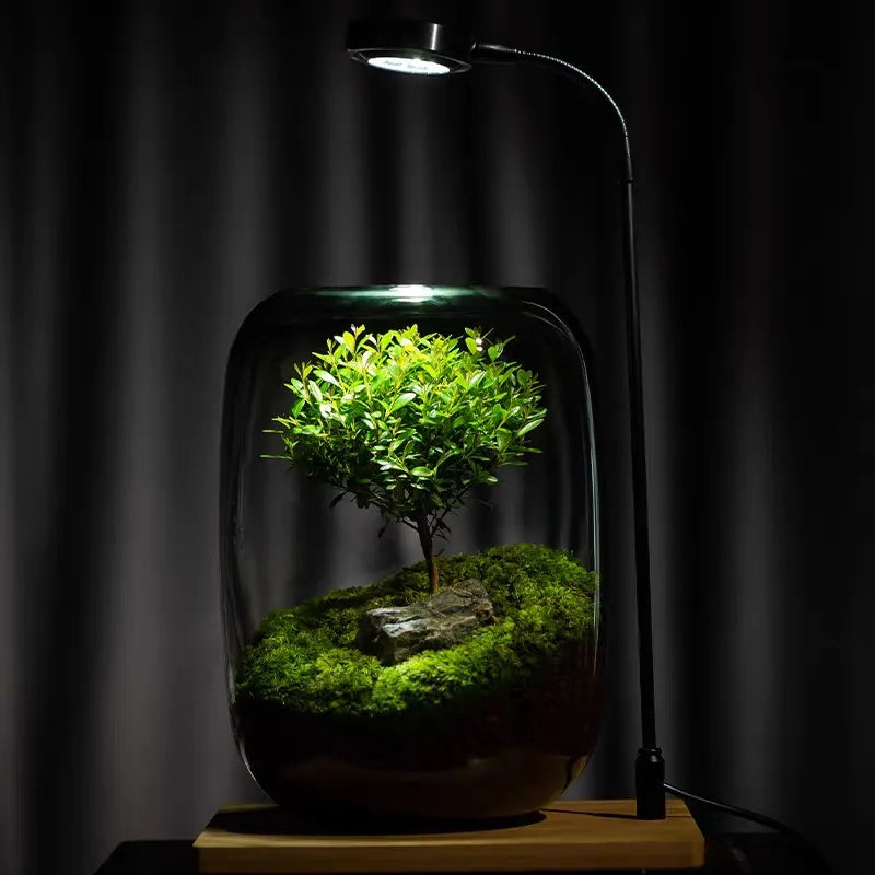 Micro Landscape Green Oasis Glass Vase, 16x20cm