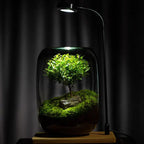 Micro Landscape Green Oasis Glass Vase, 16x20cm