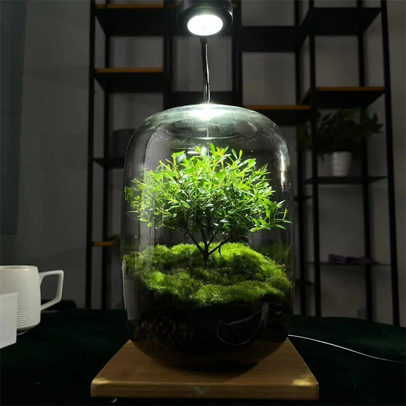 Micro Landscape Green Oasis Glass Vase, 16x20cm
