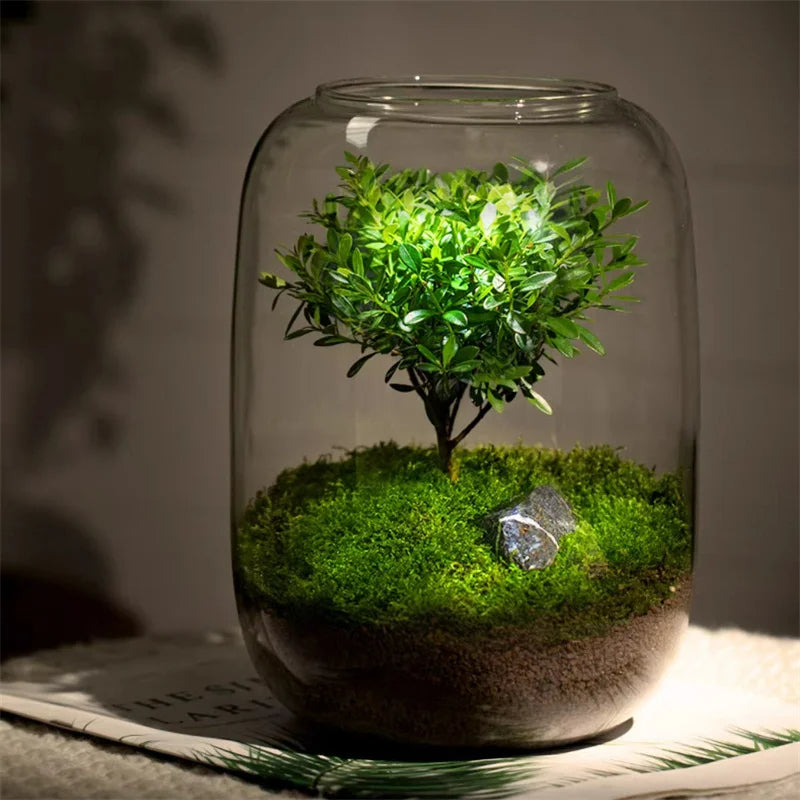 Micro Landscape Green Oasis Glass Vase, 16x20cm