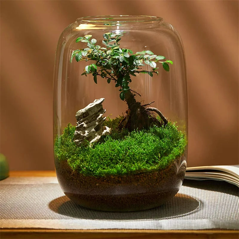 Micro Landscape Green Oasis Glass Vase, 16x20cm