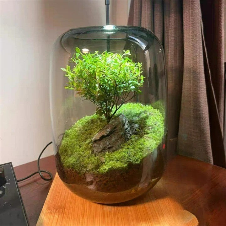 Micro Landscape Green Oasis Glass Vase, 16x20cm
