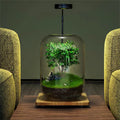 Micro Landscape Green Oasis Glass Vase, 16x20cm